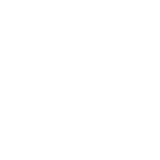 instragram icon